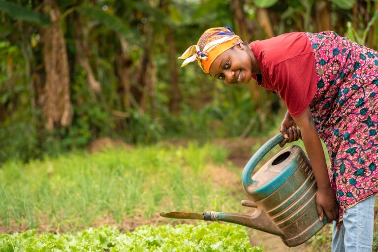 Beautiful african lady with head scarf, plastic container landscape image of black woman in a greenfield with pretty smile farming concept