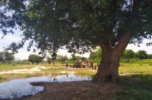 IFAD Tchad PPE
