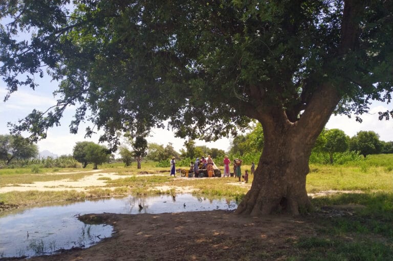 IFAD Tchad PPE