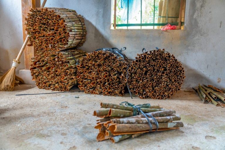 Northern vietnam, dry cinnamon barks are stored in a room.