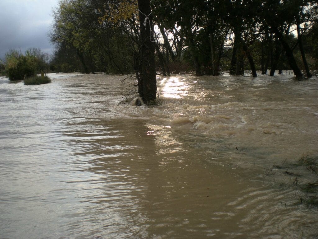 Blog 2026 01 crue photo Claude