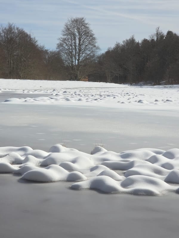 Blog 2026 02 tourbières photo François